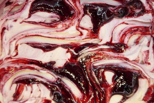 Wilde Heidelbeere in Quark