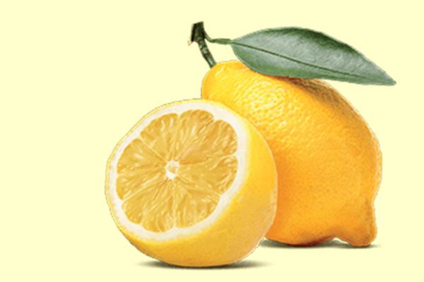 Sizilianische Zitrone